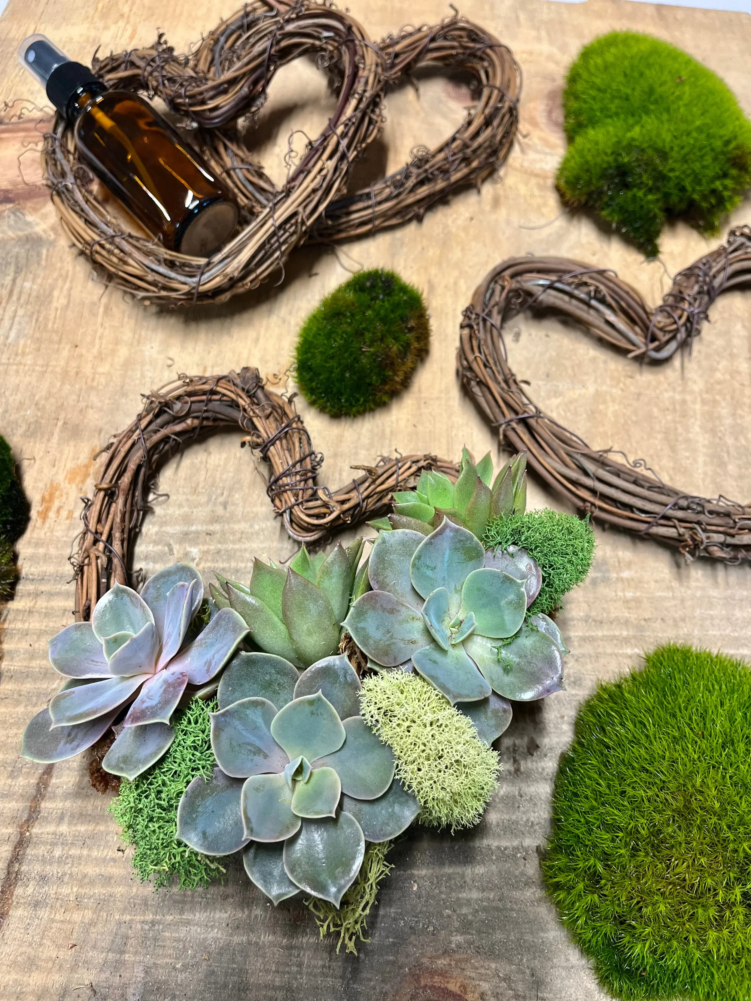 Mini Heart Wreath Succulent Workshop