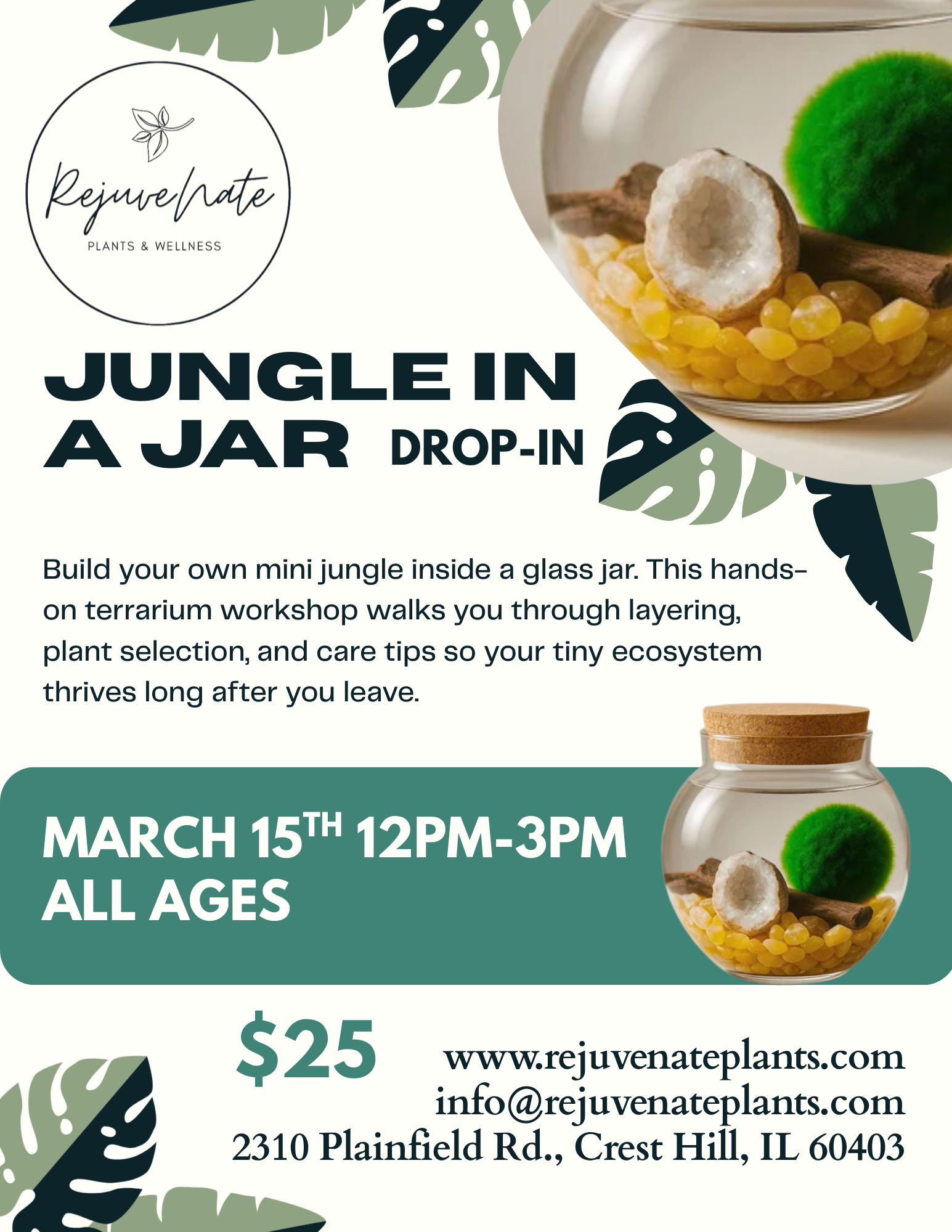 Mini Jungle In a Jar