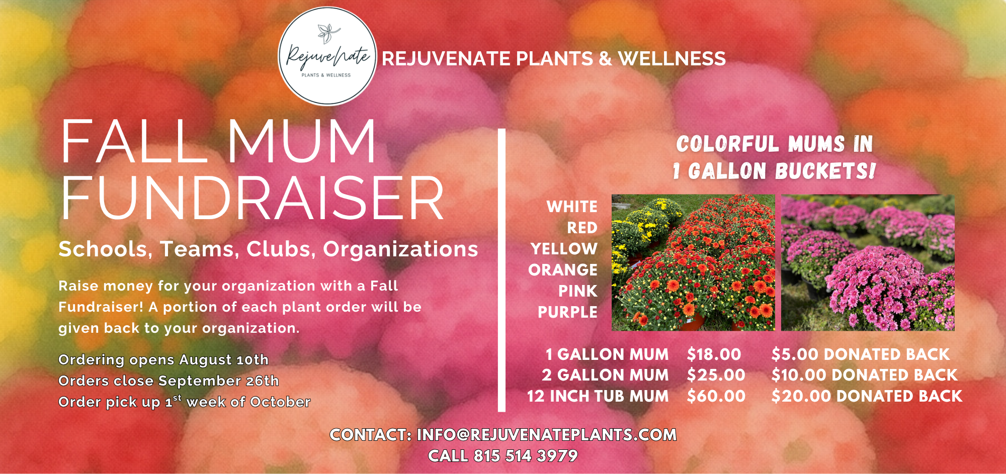Fall Mum Fundraiser.png