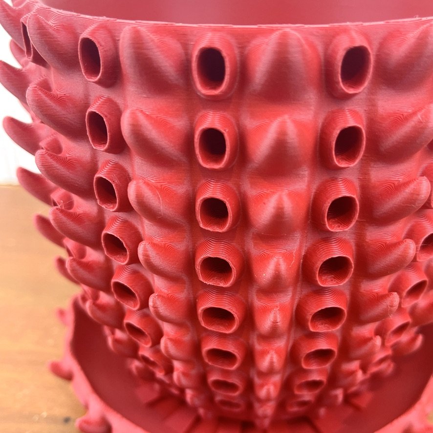 47066188-E615-40AC-AB45-AF344F3B50E0_1_105_c.jpeg