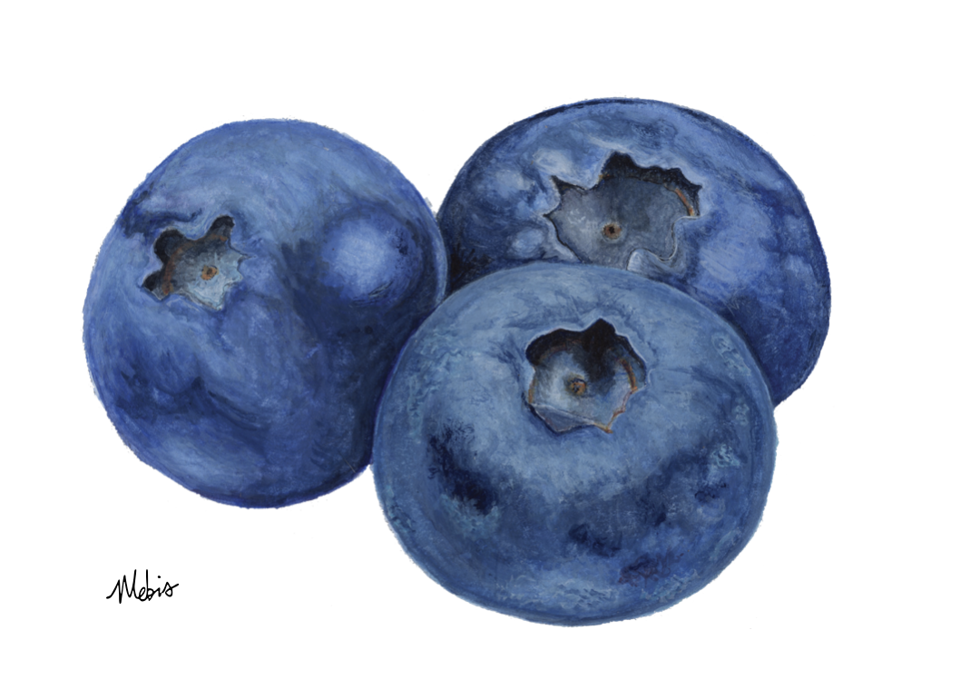 blueberries.web.png