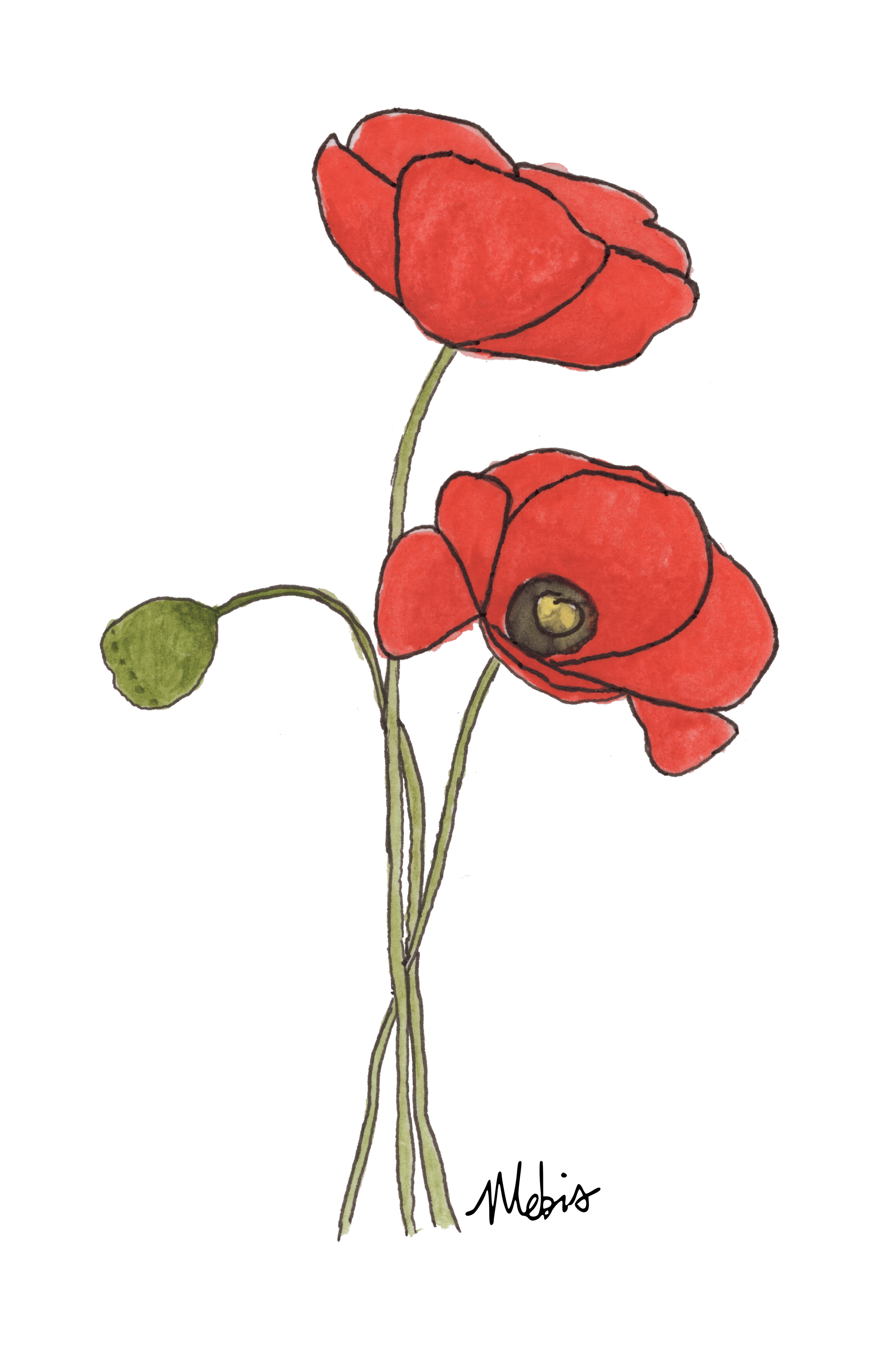 Red Poppies