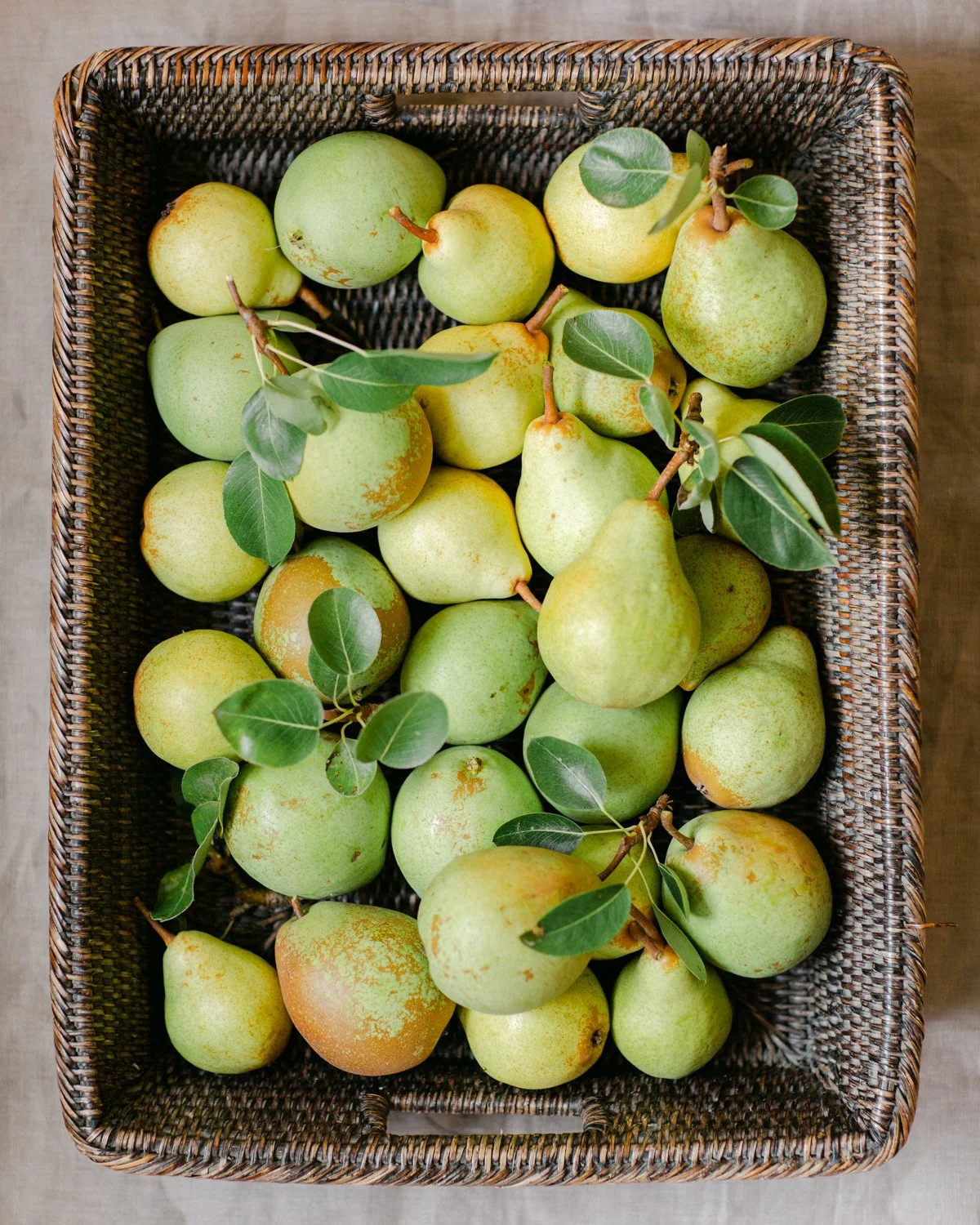 pears_insta-1.jpg