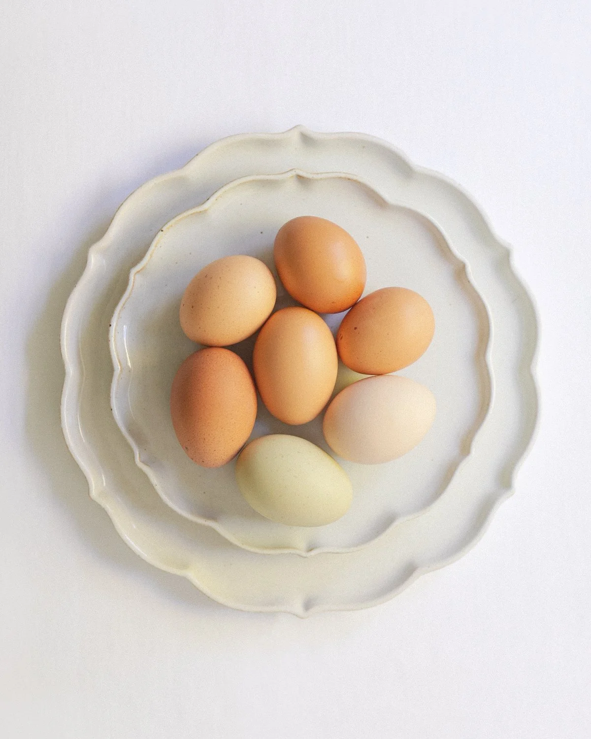 MC.StillLife.Eggs.MinnsCreative.4x5-2.jpg