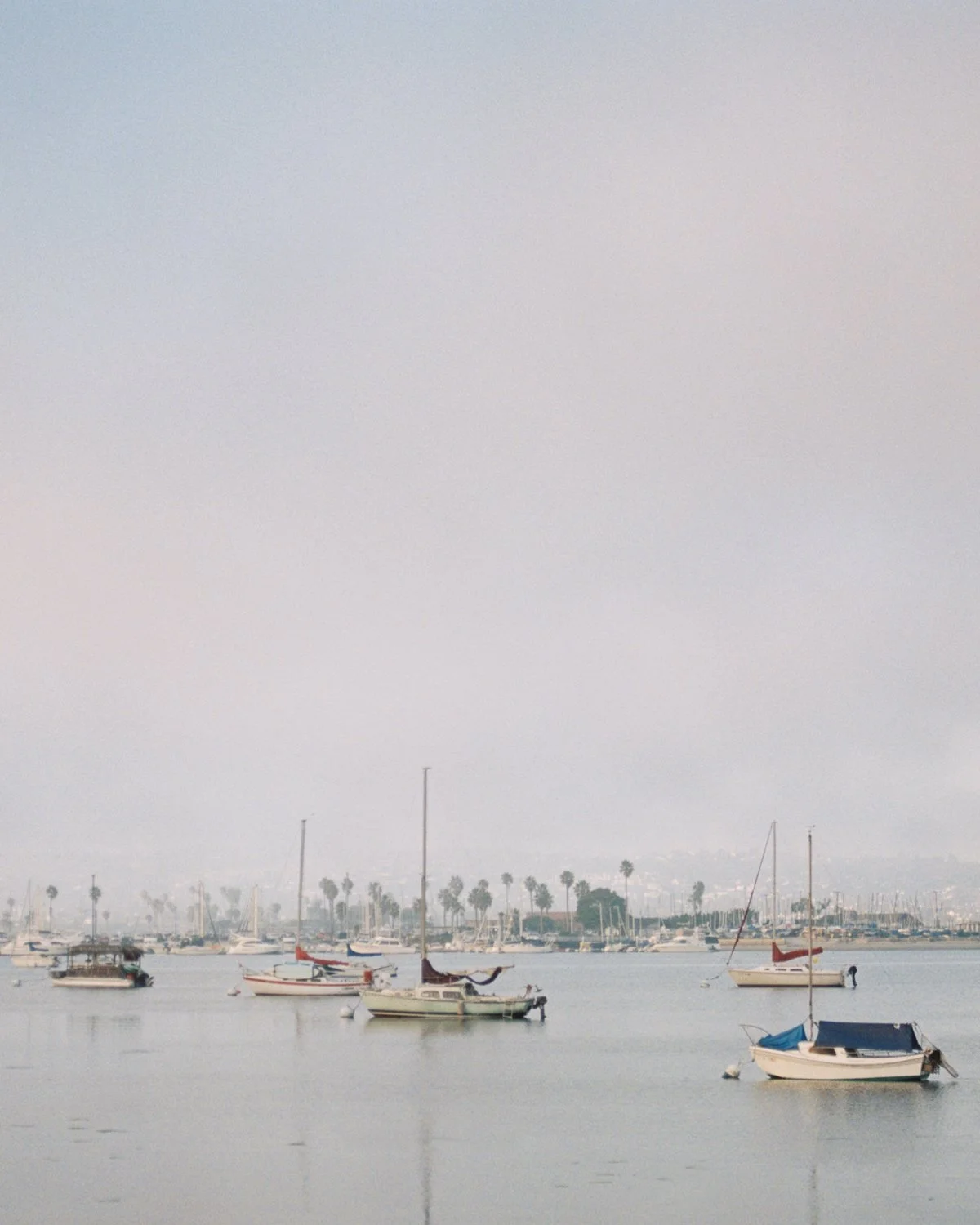 WEB-SanDiego-California-MissionBay-Film-4x5.jpg