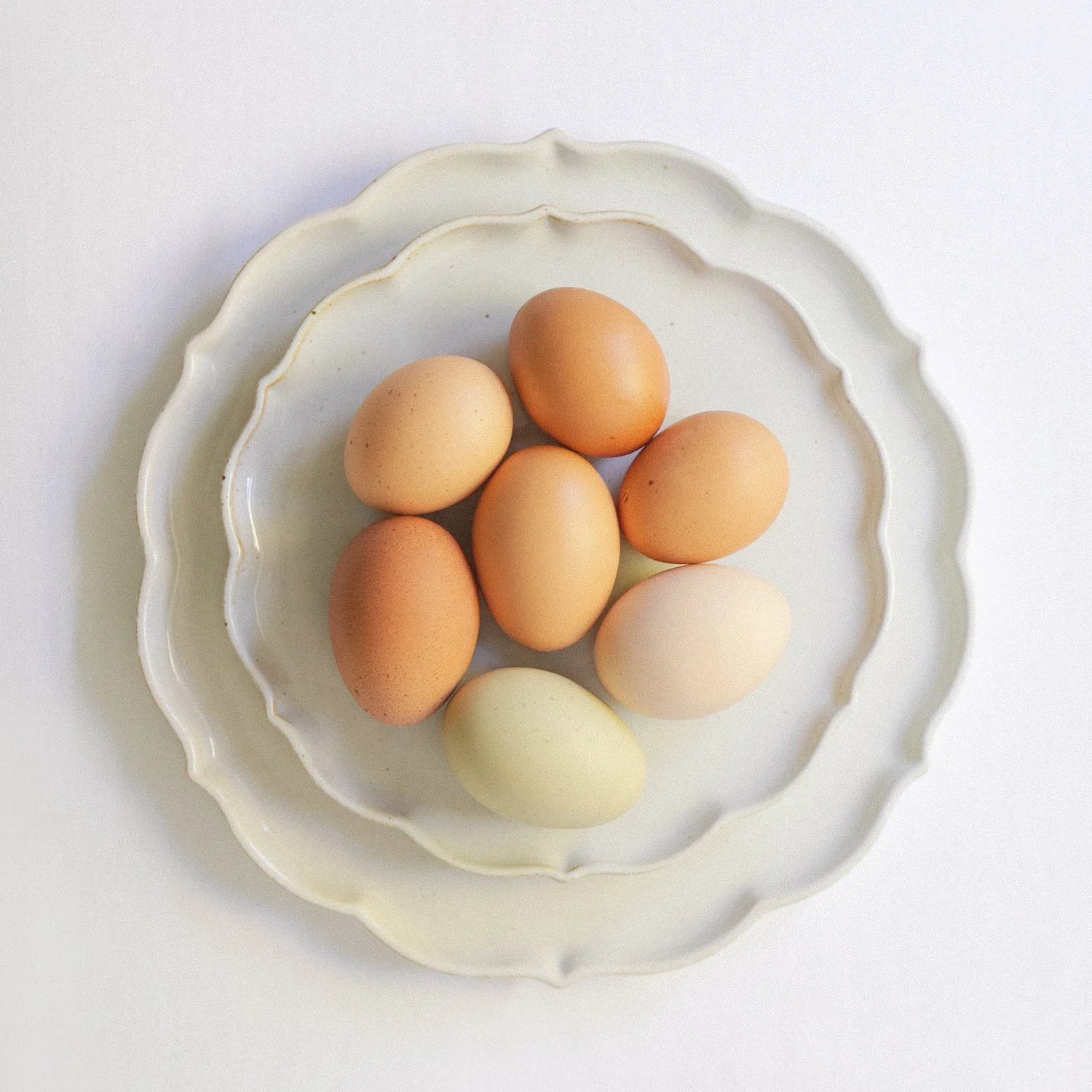 MC.StillLife.Eggs.MinnsCreative.1x1-1.jpg