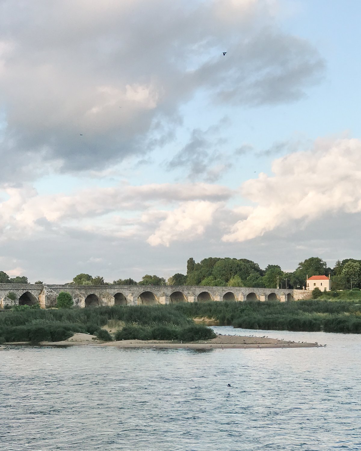 CarrieMinns_260728_MC_LoireRiver_4x5.jpg