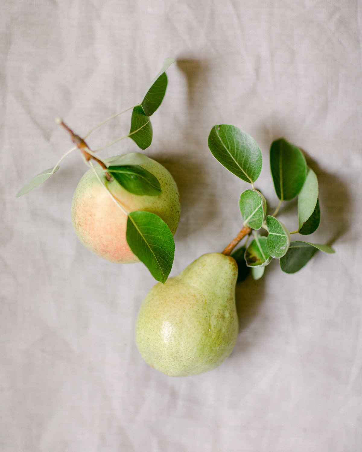 pears_insta-2.jpg