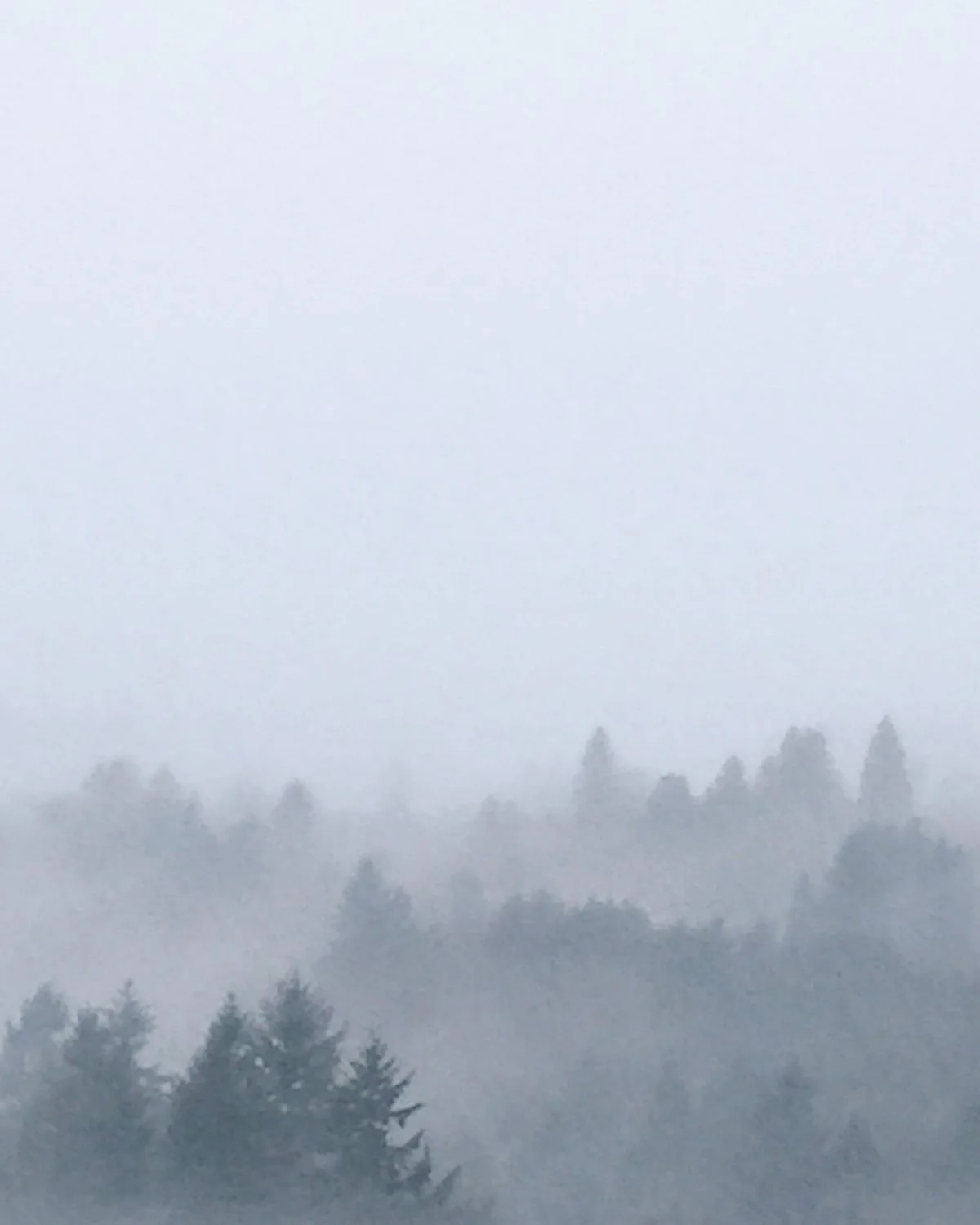 portland.oregon.winter.insta.jpg