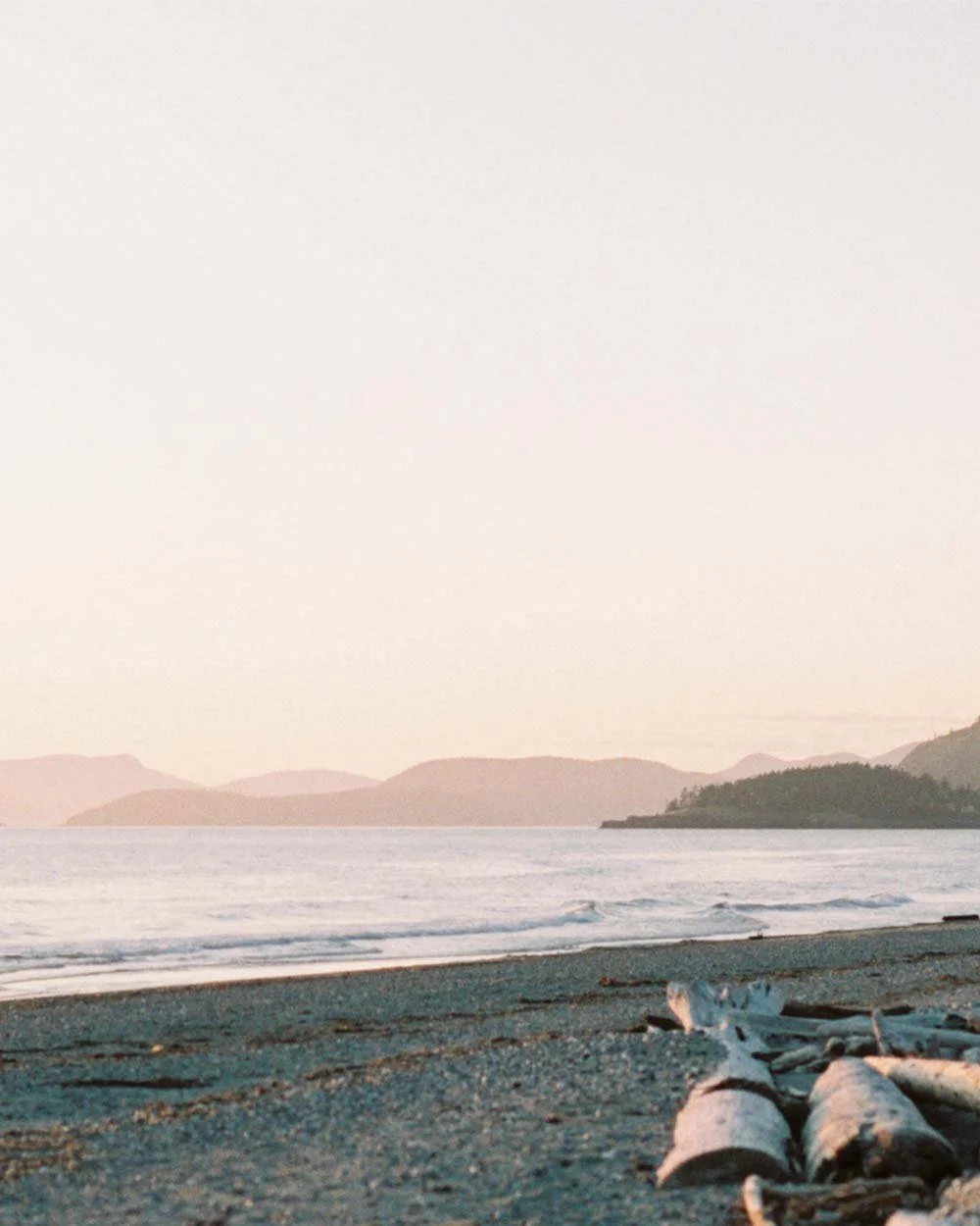 260208-Carrie-Minns-GBA-PugetSound-4x5-2.jpg