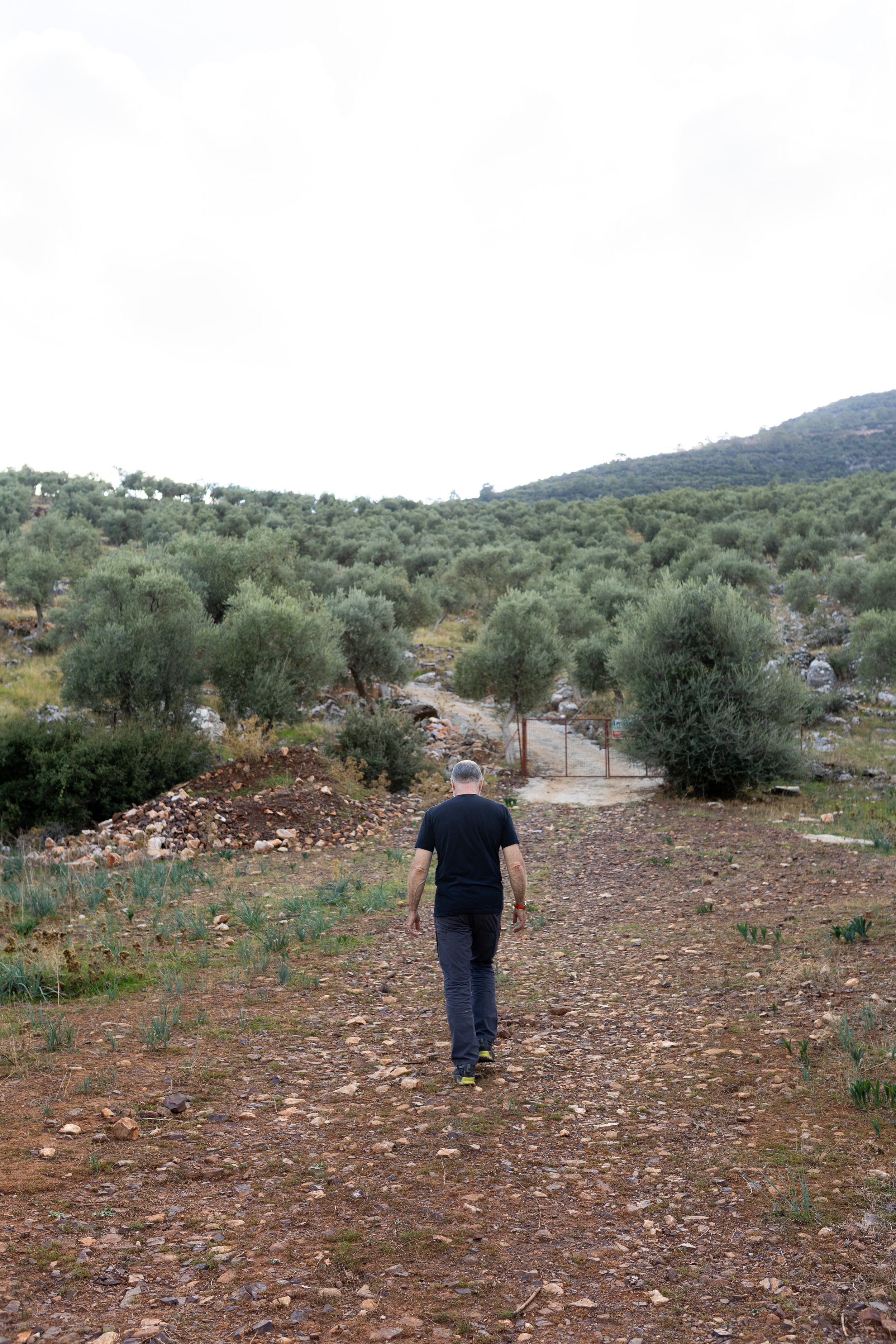 Oro Di Milas