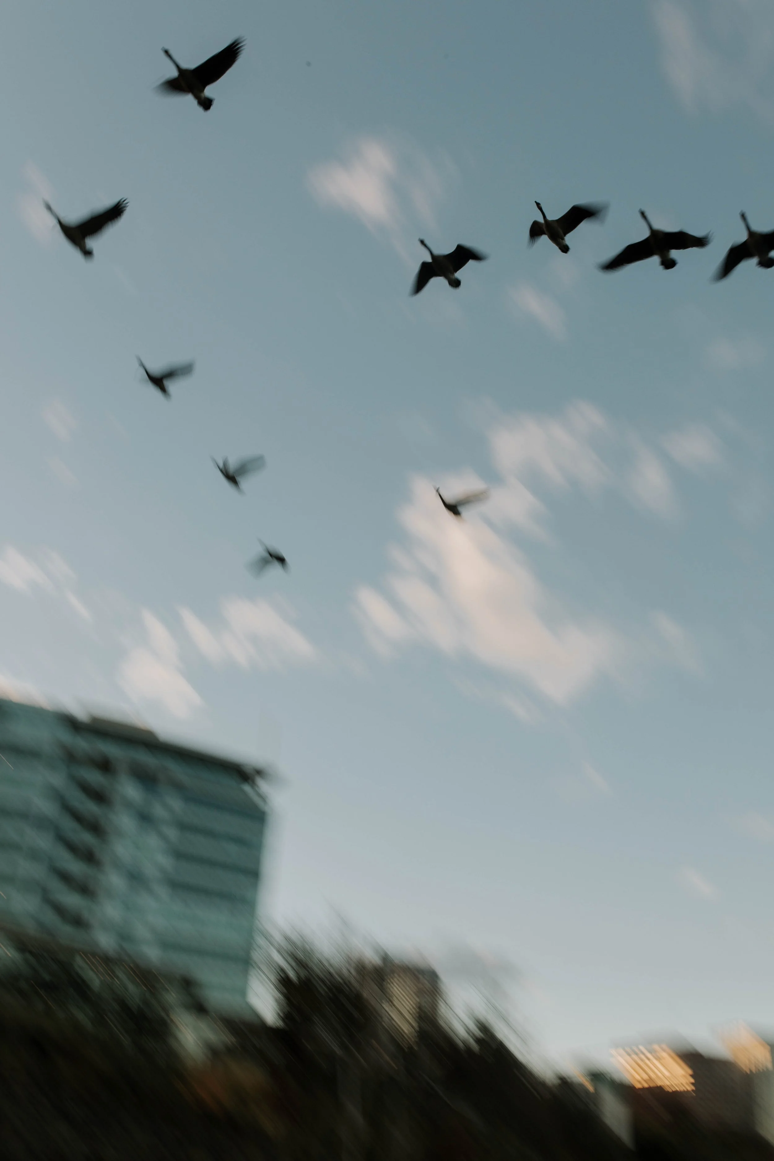 SKY-27.jpg