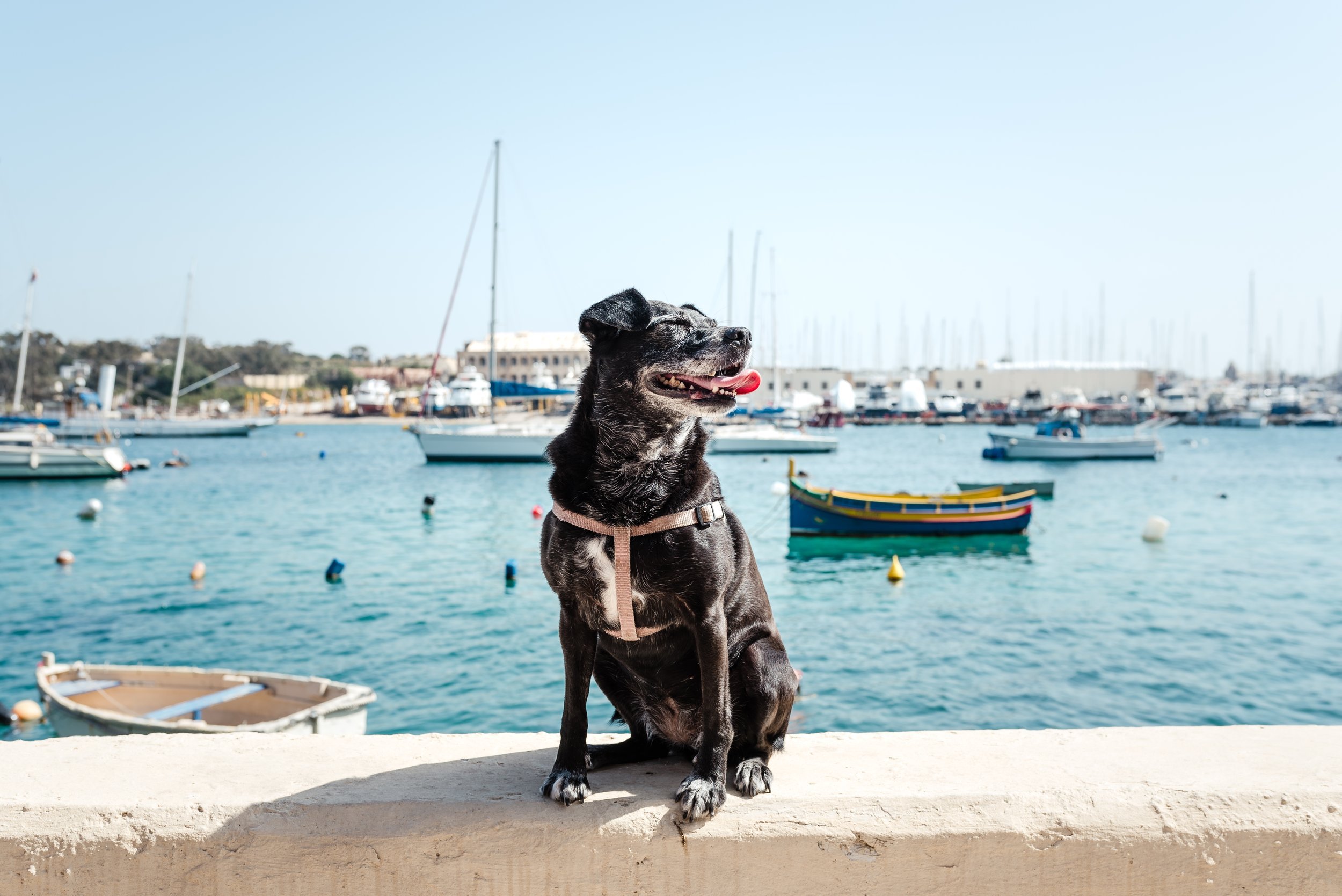 032-Malta.jpg