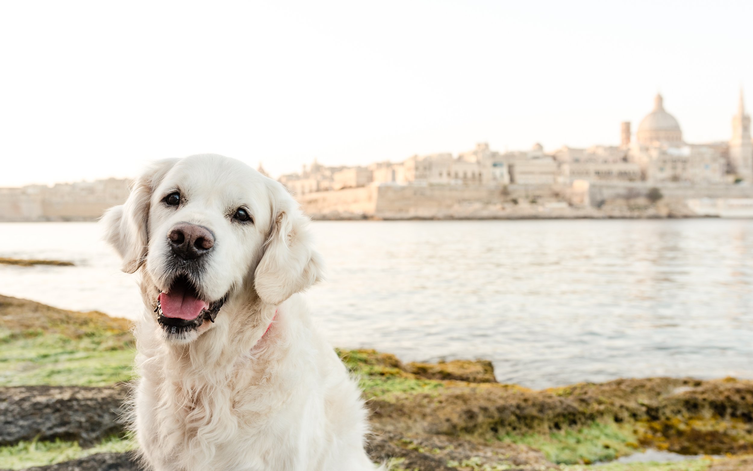 047-Malta.jpg