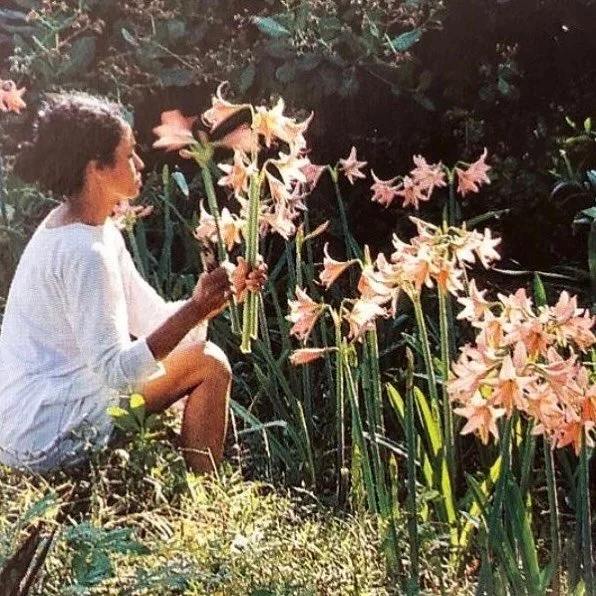Feeling overwhelmed? 

Taking a microdose and conversing with flowers is always good idea. 

🌸