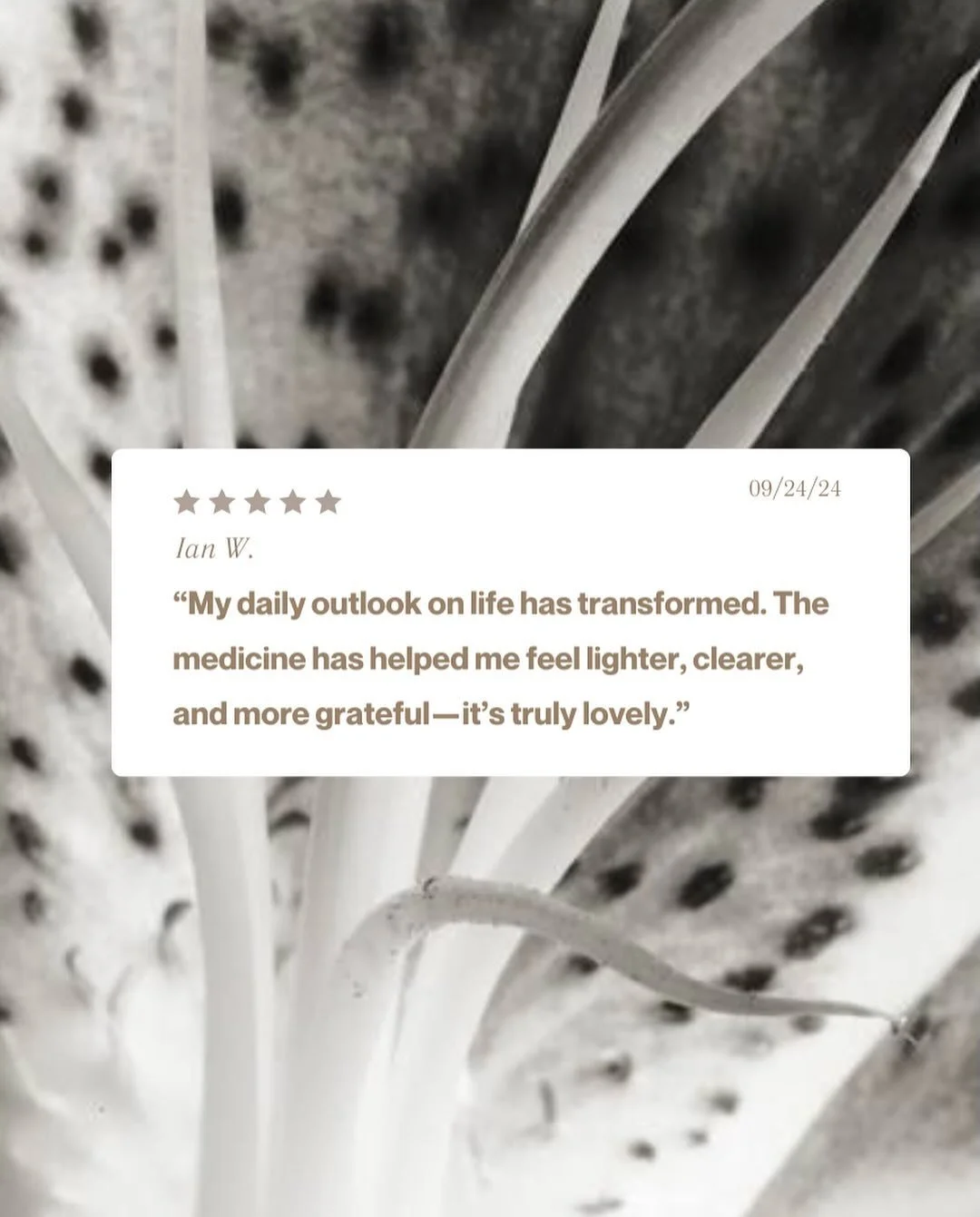 ~MASSIVE GRATITUDE~

To everyone who has shared their journey with us&mdash;your stories inspire us beyond words.

Every testimonial, every heartfelt message, every transformation you&rsquo;ve experienced&mdash;it&rsquo;s all a reflection of the Eart