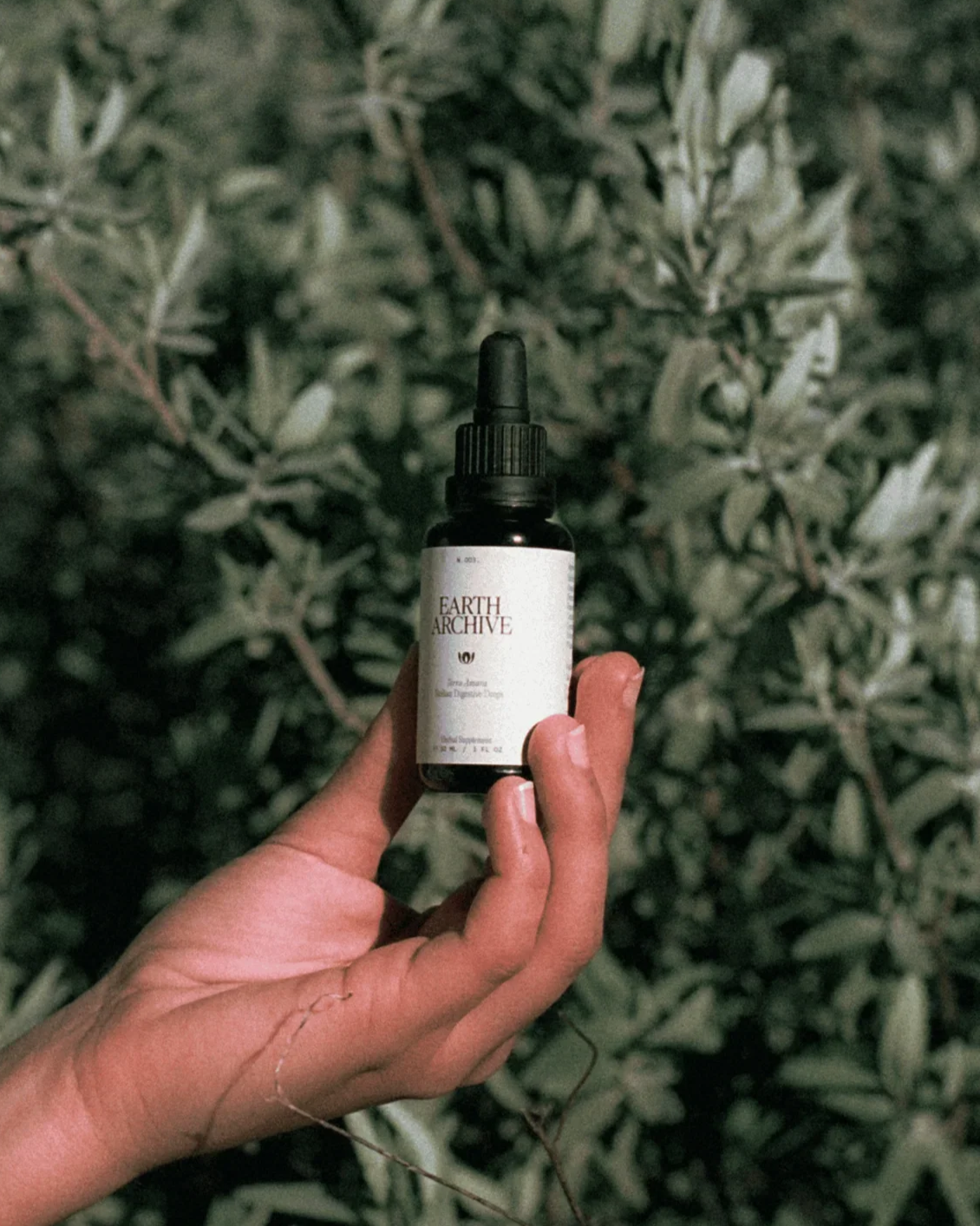 Earth Archive - Terra Amara | Sicilian Digestive Bitters