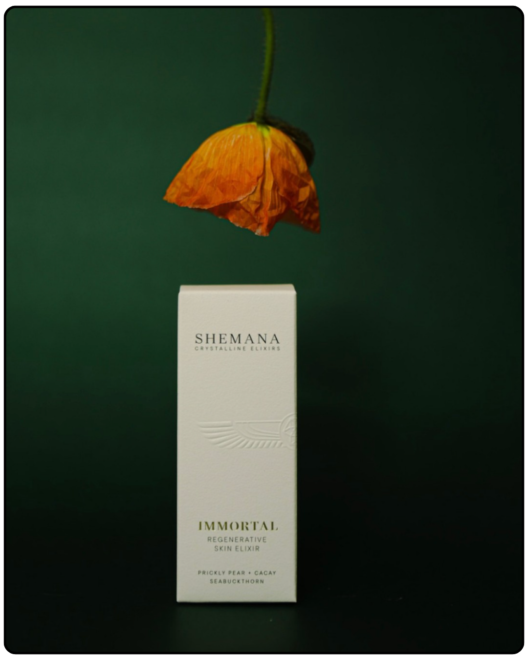 Shemana Skincare Experience at Good Vibes Wellness in Ocean Shores