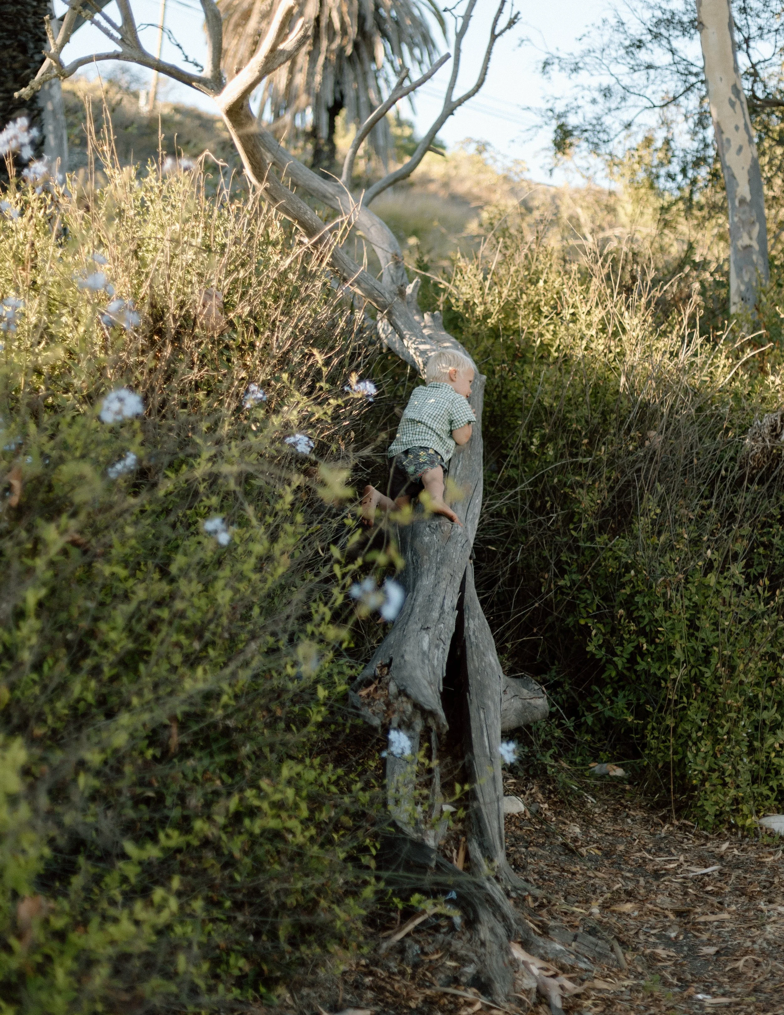 MarlenaBen-Wedding-2025-183.jpg