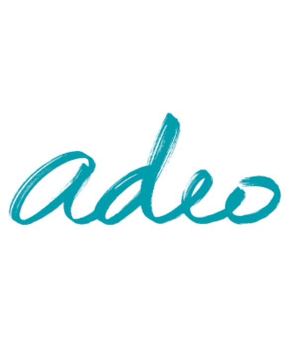 The word 'ades' written in teal cursive script on a white background. Learning Expedition partner