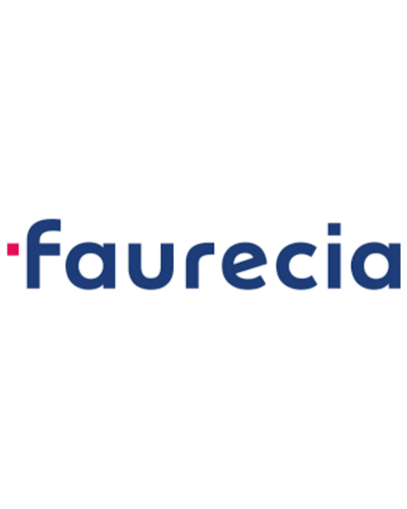 Faurecia — Learning Expedition client