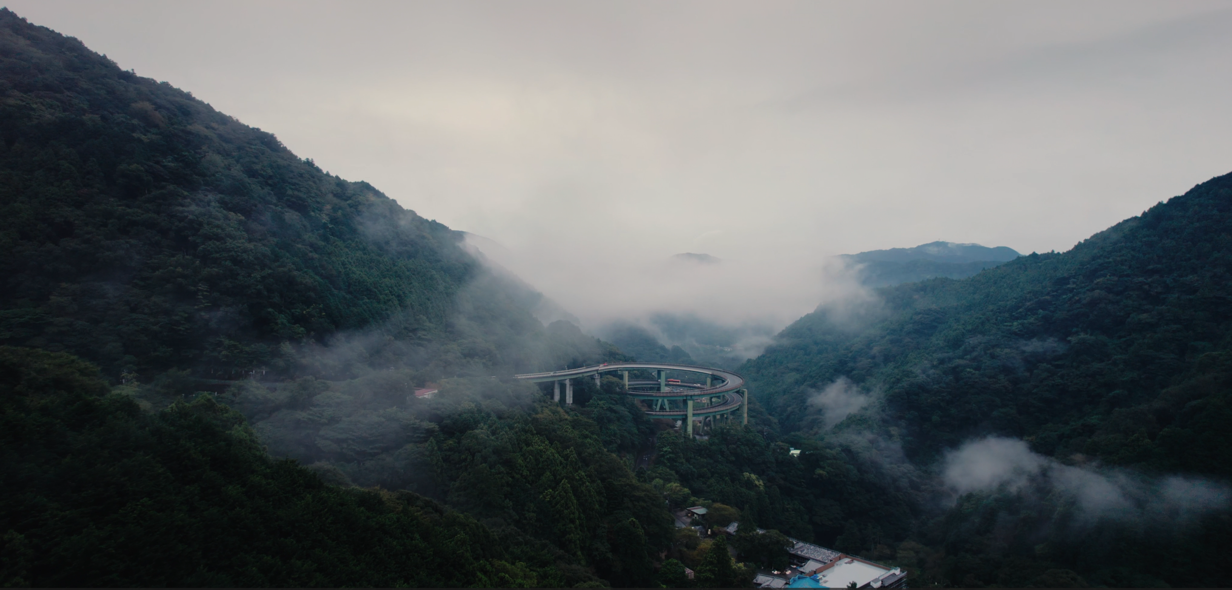 Japan Forrest .png