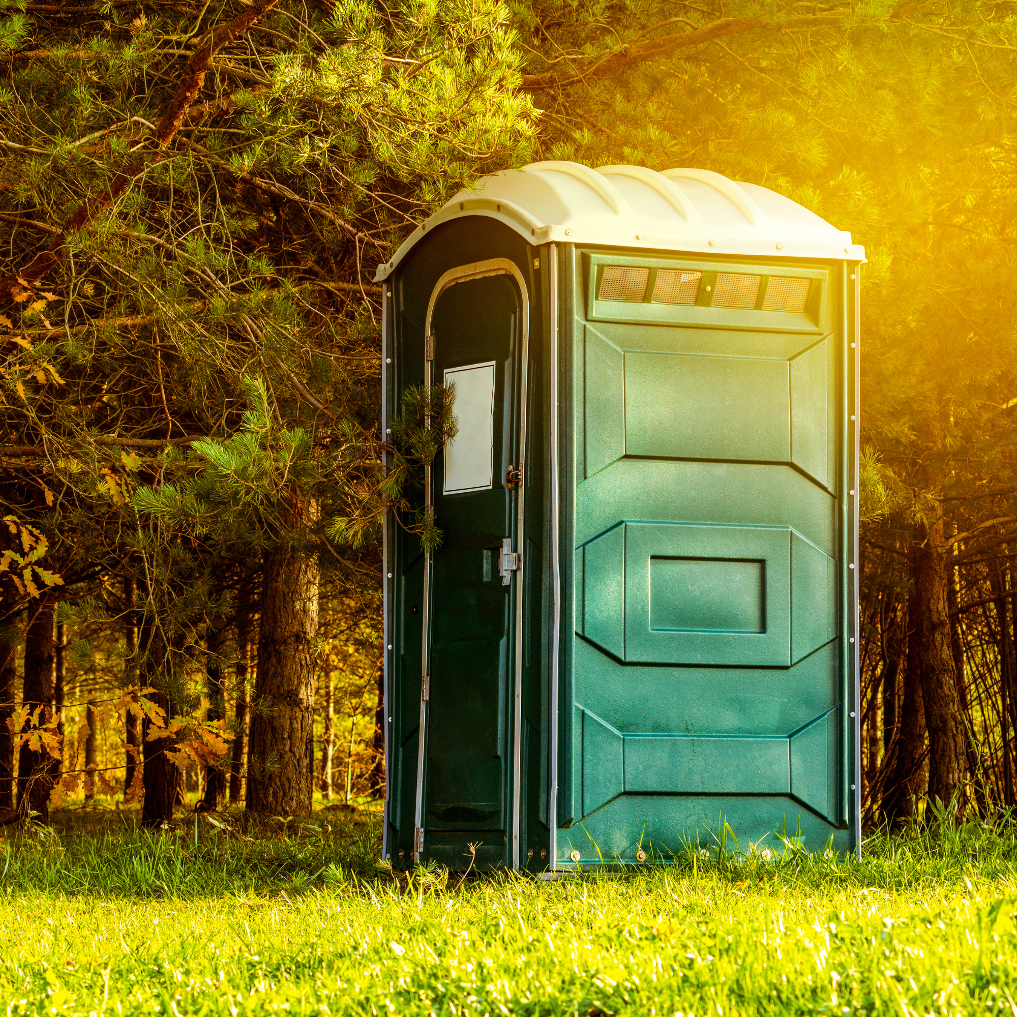 Green portable toilet in a forest with trees and grass, illuminated by warm sunlight.
