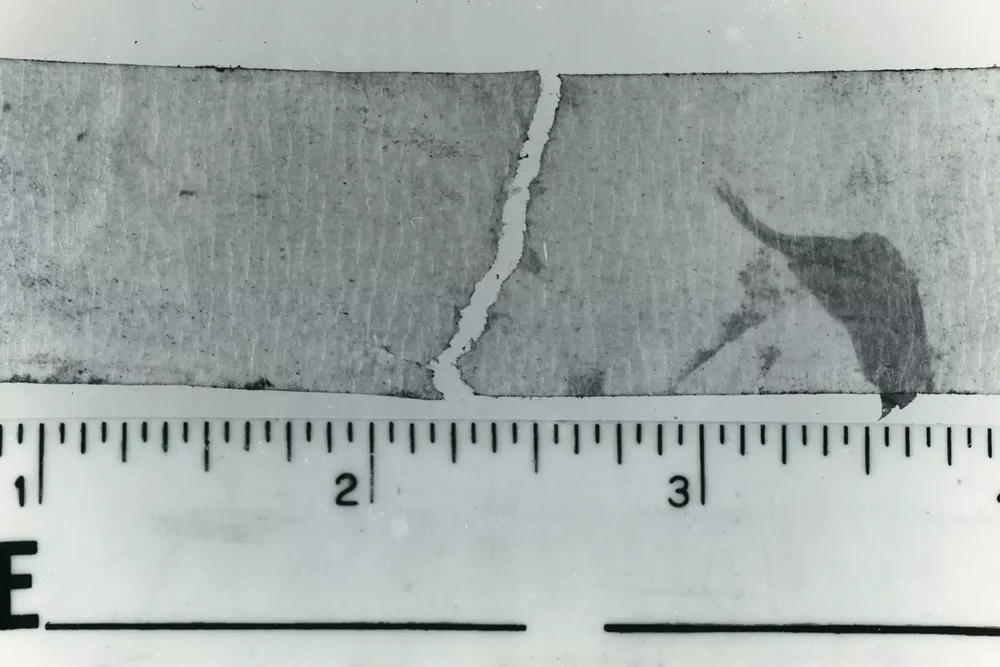 Duct Tape found at the crime scene