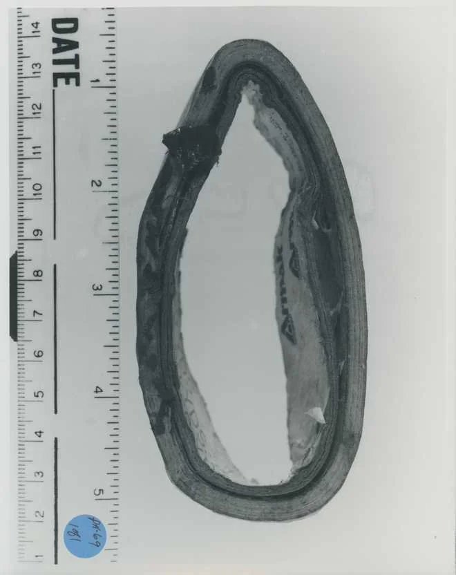 Duct Tape found at the crime scene