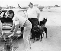 Special "psychic dogs" comb murder scene