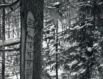 Krivonischenko-camera-film1-18.jpg