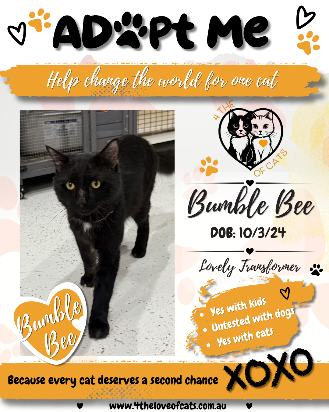 Bumble Bee