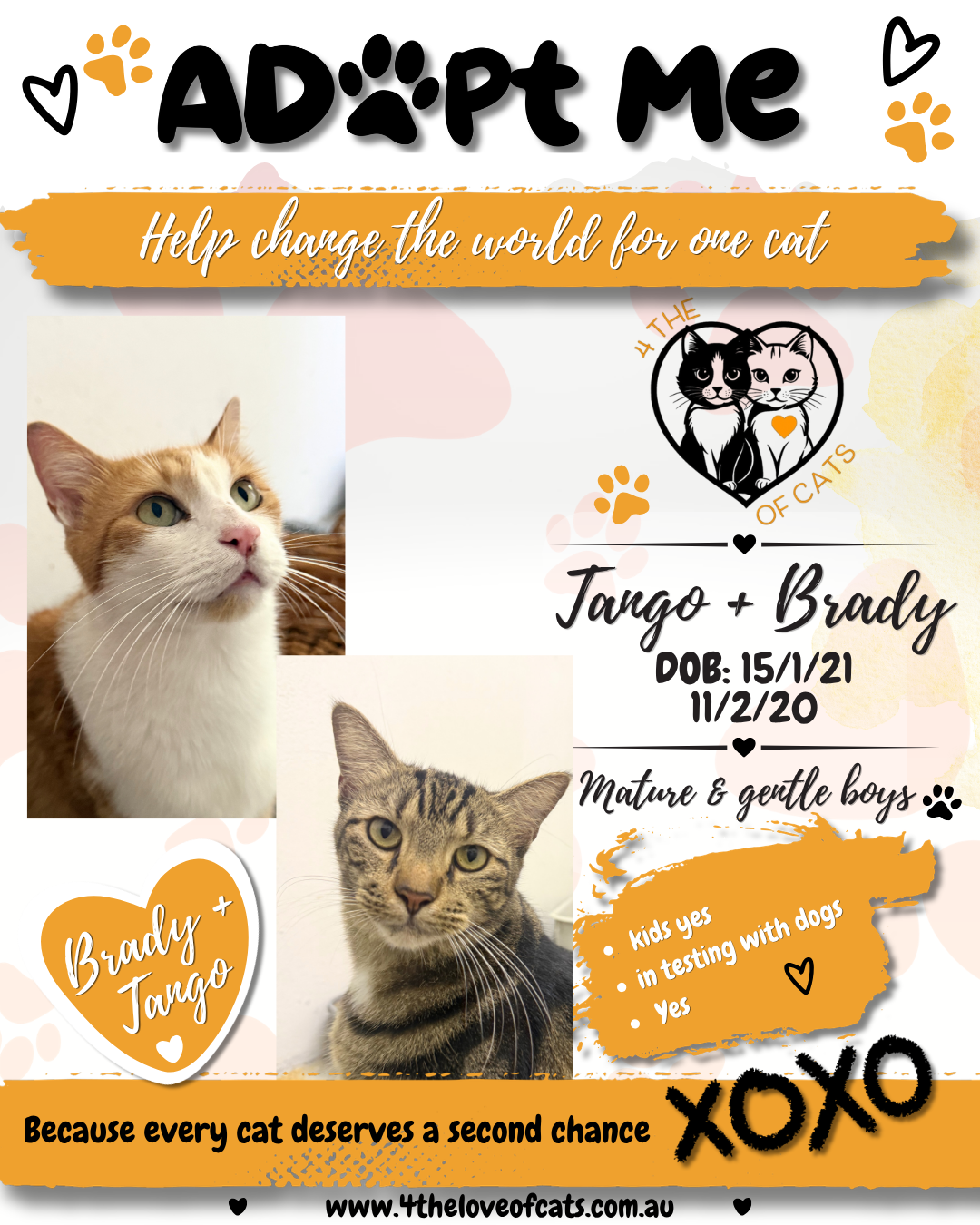 Tango + Brady