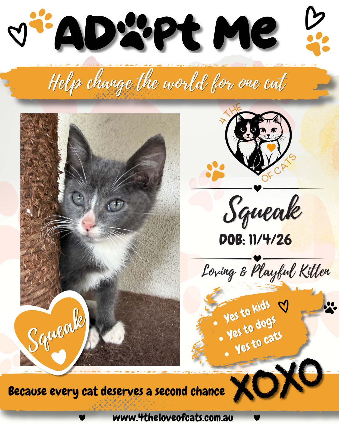 PRE-ADOPT SQUEAK