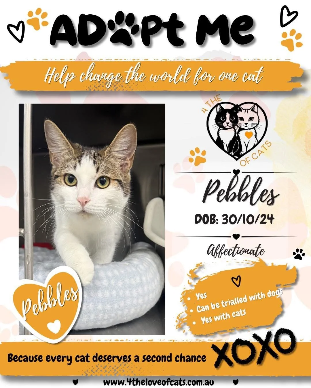 Pebbles