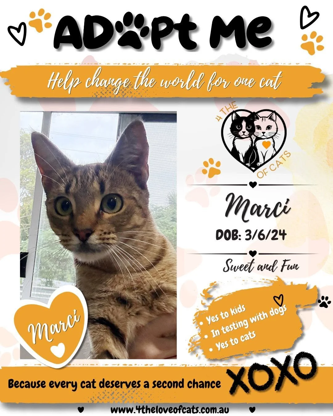 Marci