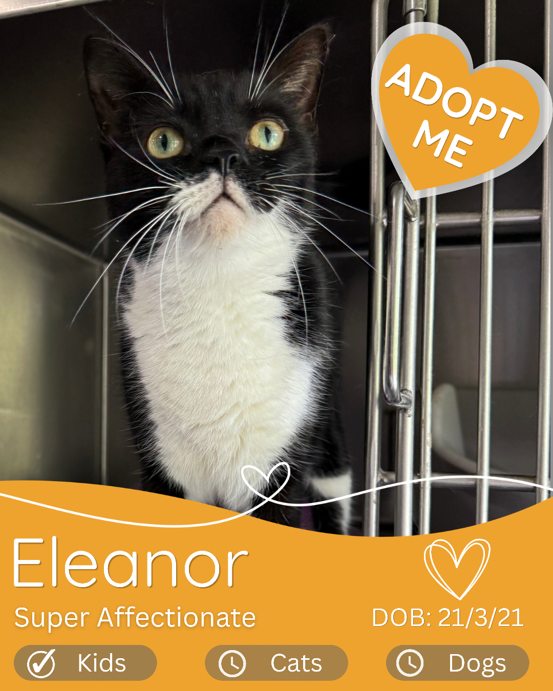 Eleanor