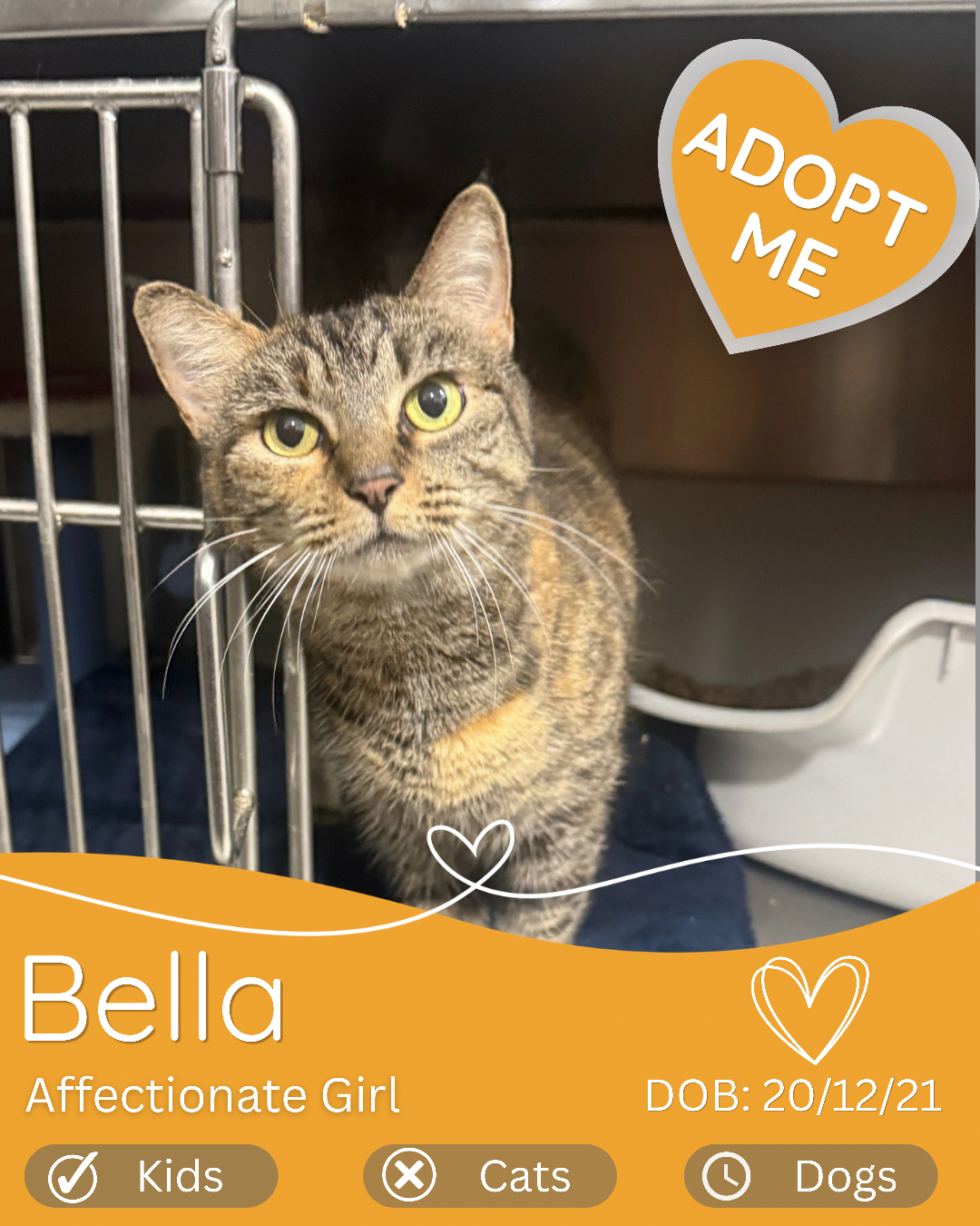 Bella