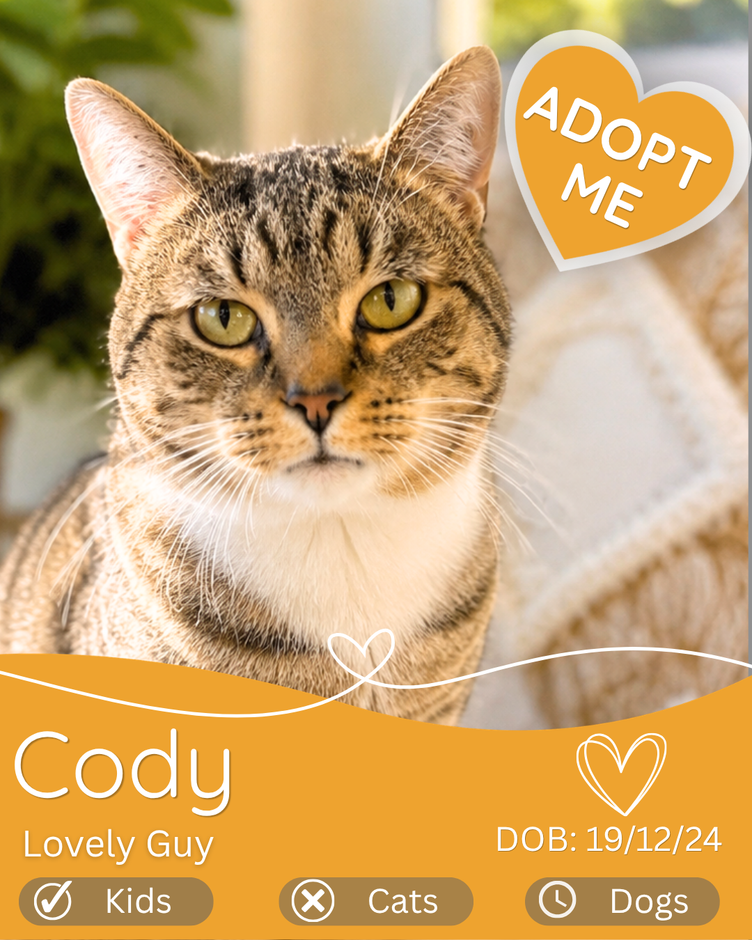 Cody