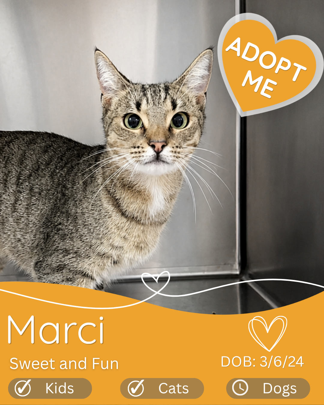 Marci