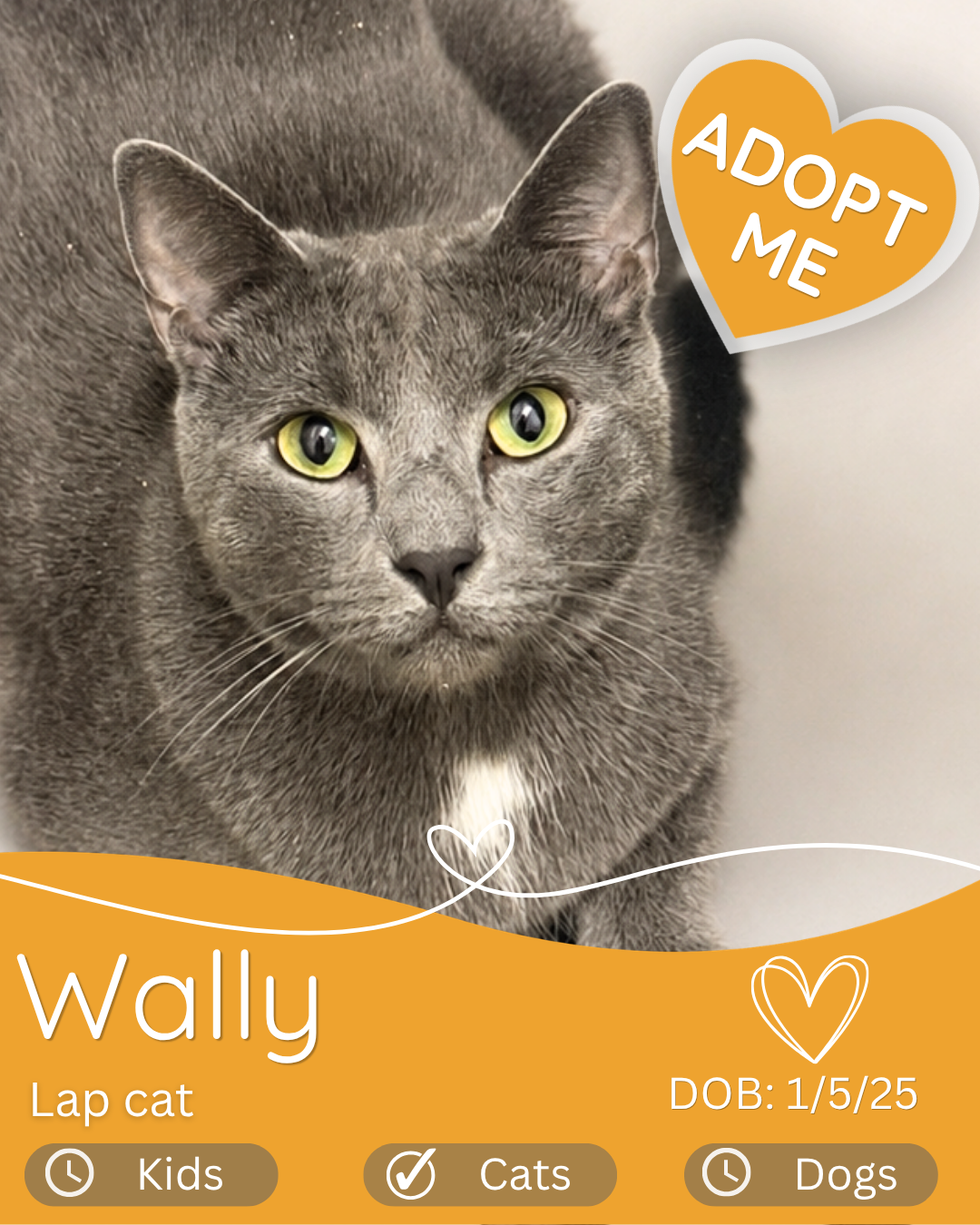 Wally