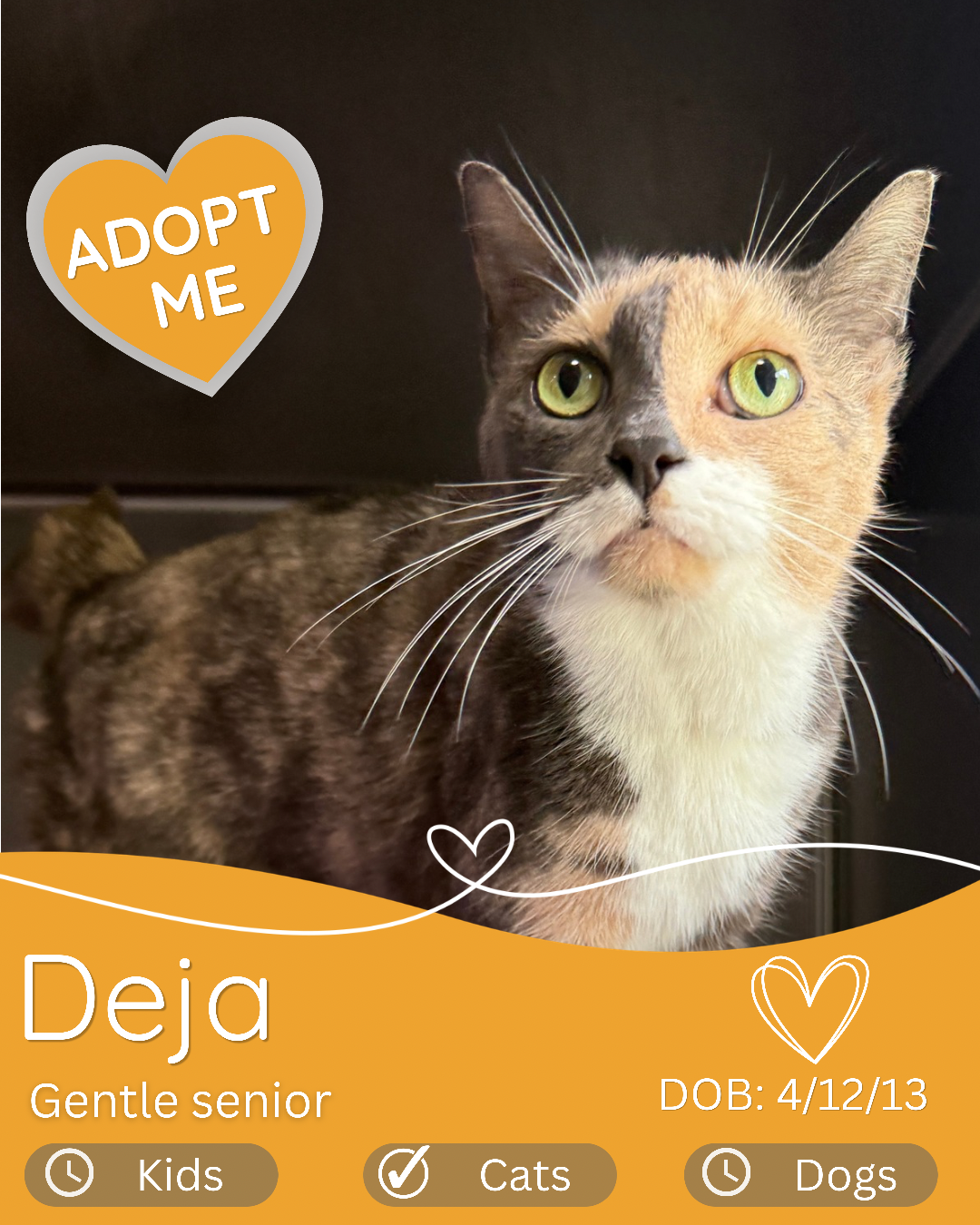 Deja
