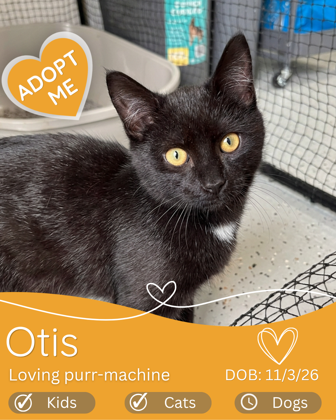 Otis