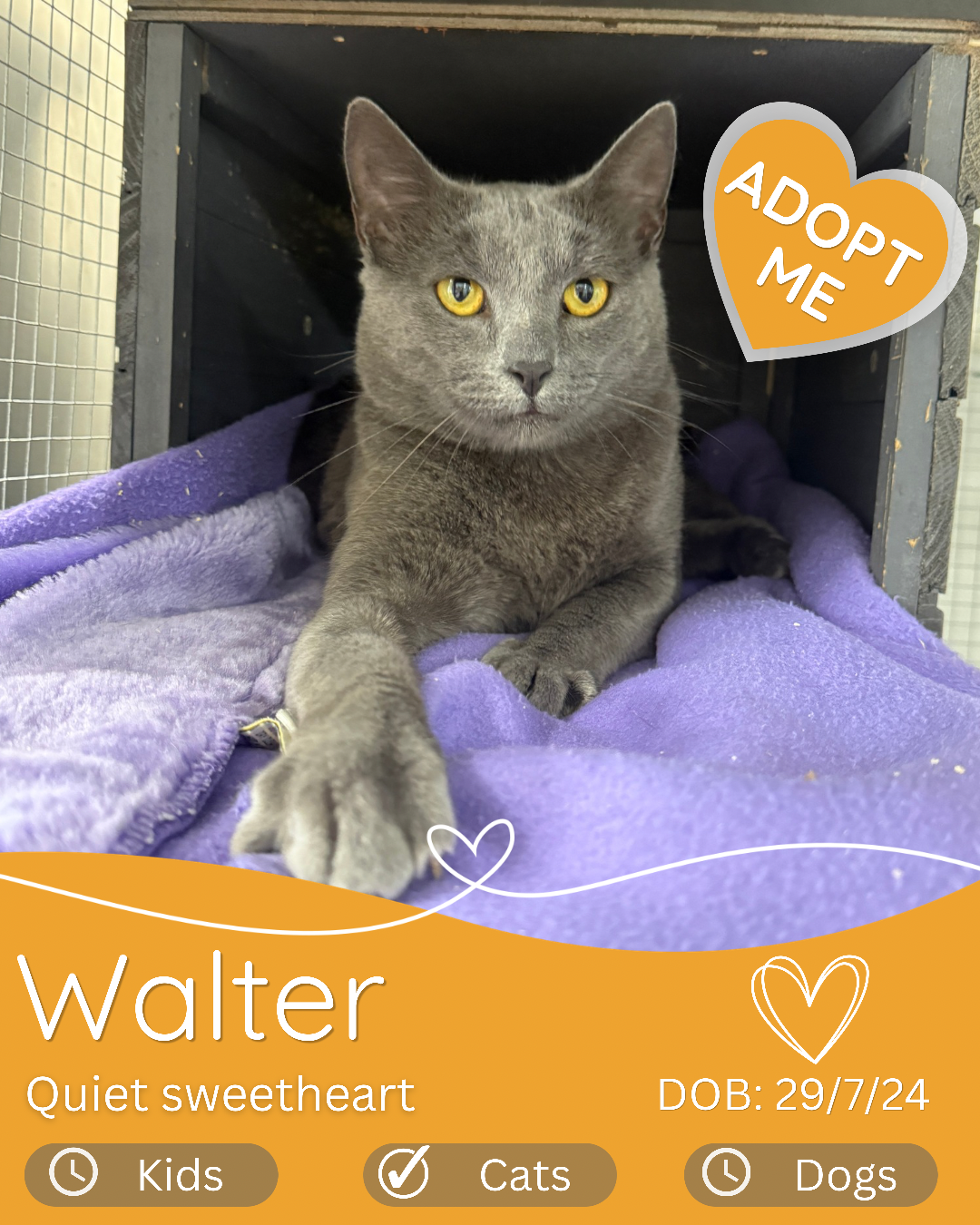 Walter