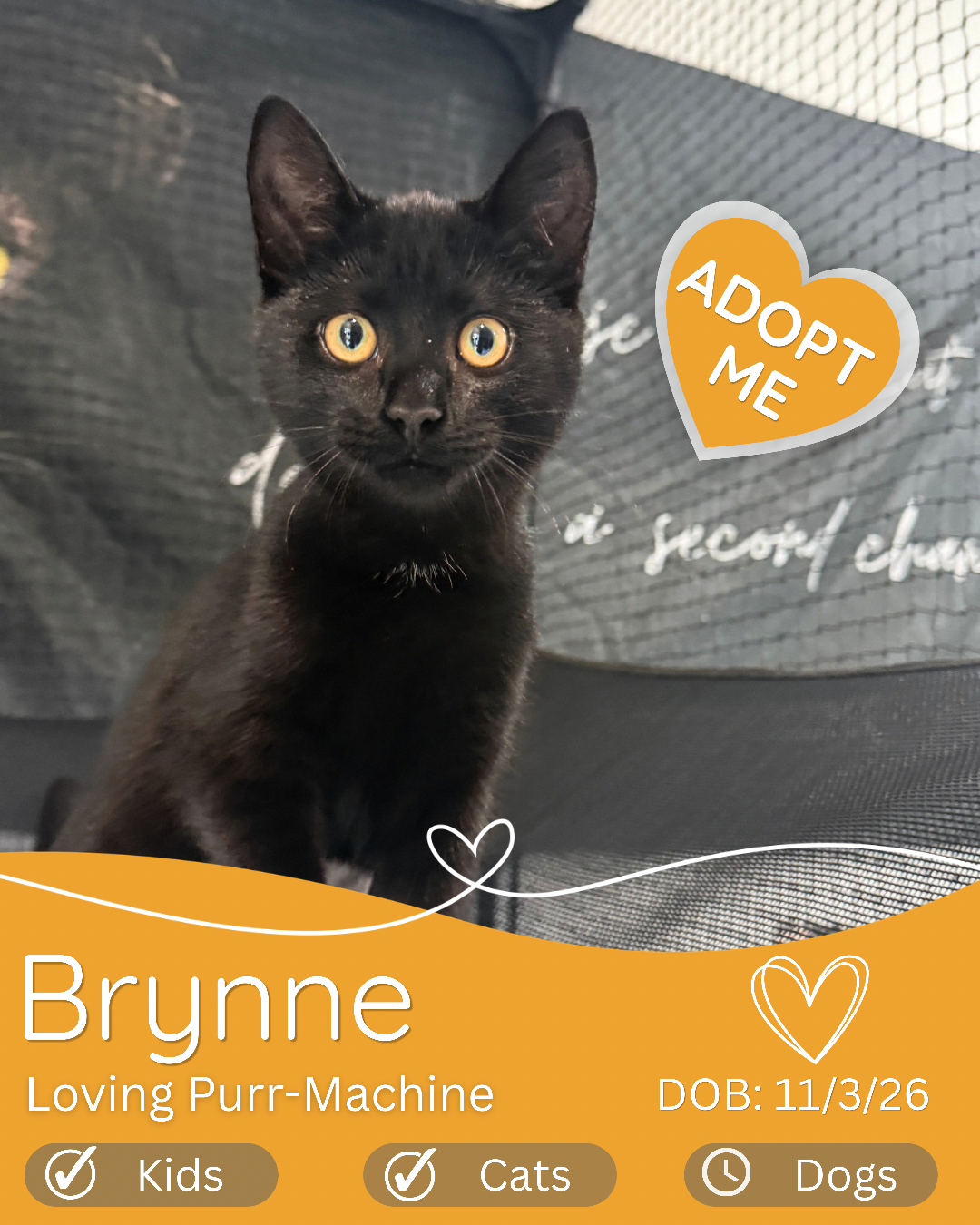 Brynne