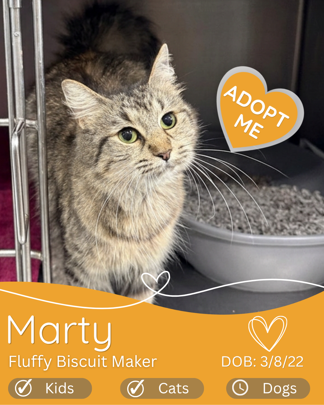 Marty