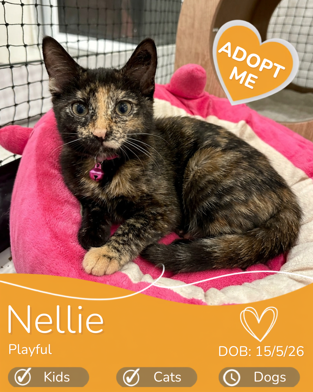 Nellie