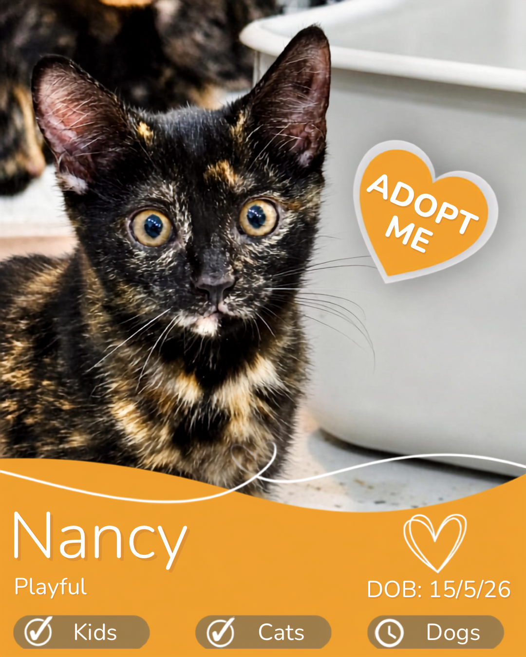 Nancy