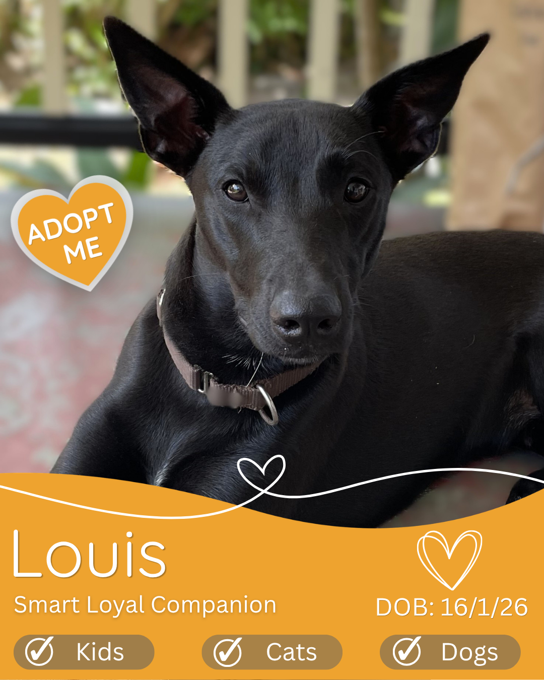 Louis