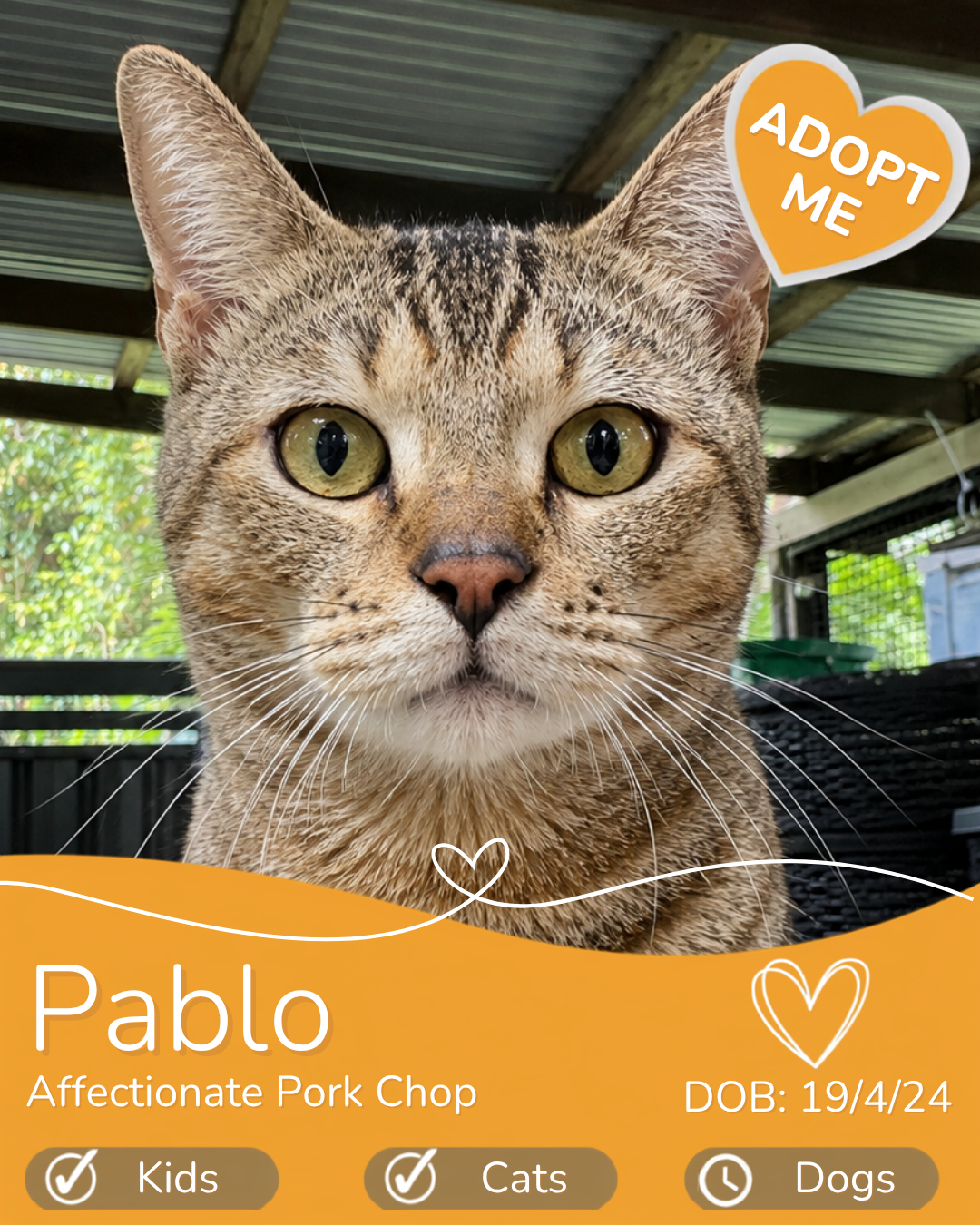 Pablo